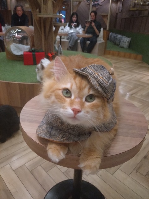 こはるんば さま