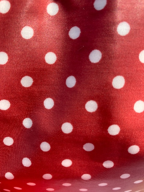 てんとうむし さま