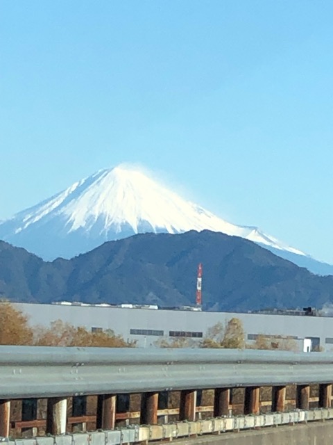 ゆかりん さま