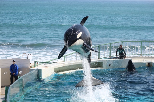 テツ@横浜 さま