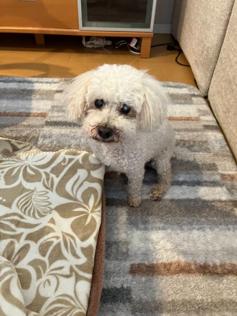 たくてぃん さま