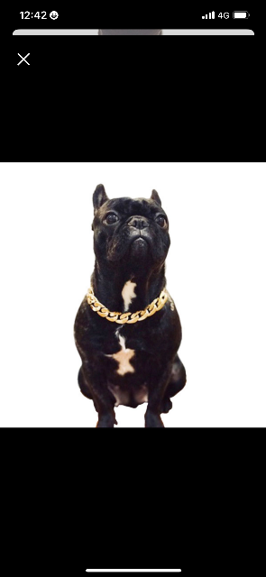 ピー＆ナッツ さま