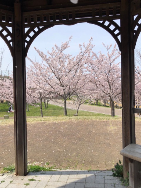 モコボリス さま