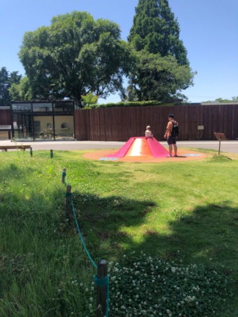 えっちゃん さま