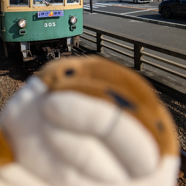 ね☆こ☆こ さま