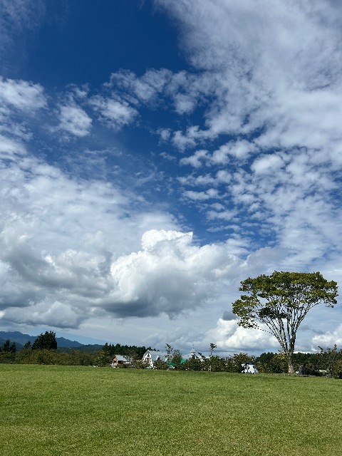 とんちー66 さま