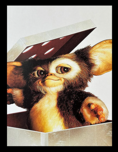 gizmo さま