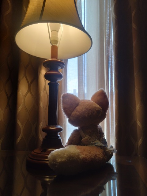 みーちゃん さま