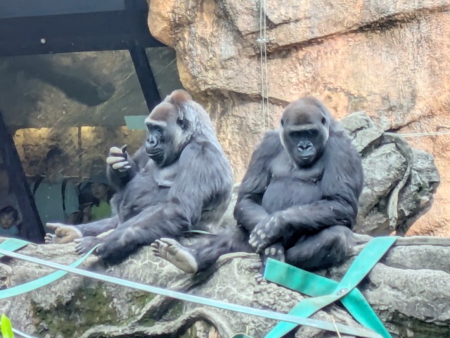 たかしゆうき さま