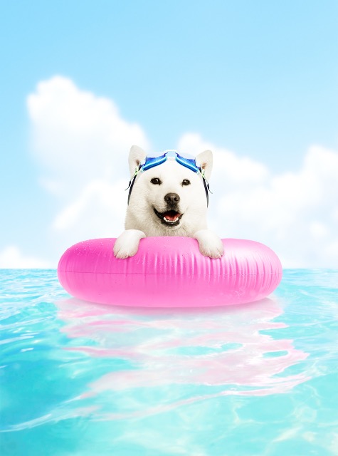 アトミックス さま