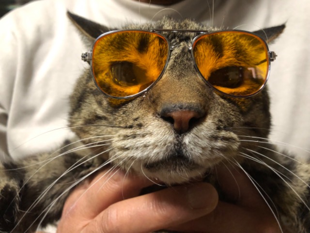 やまきけいこ さま