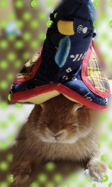 サウナハット さま