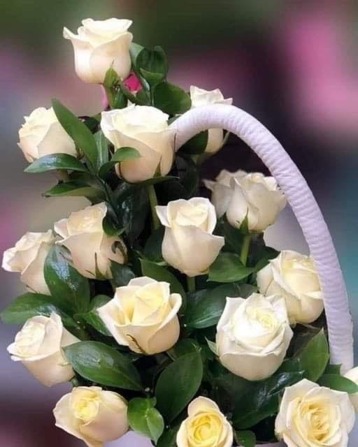 アクアママ さま