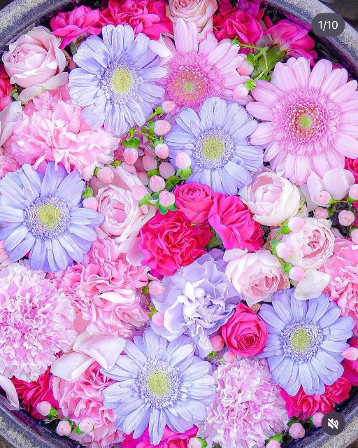 くらむぼんちゃん さま