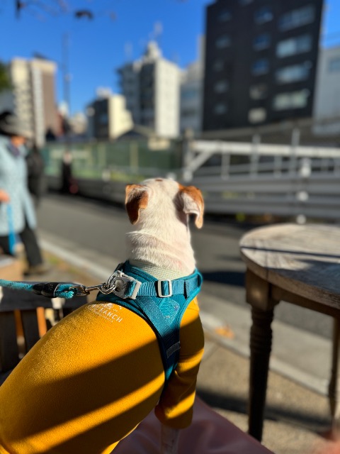 えでぃみー さま