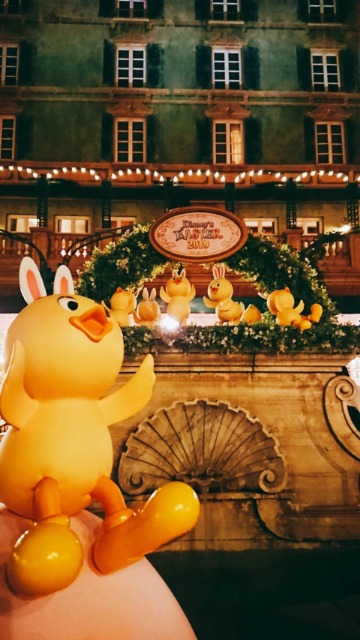 ひよこちゃん さま