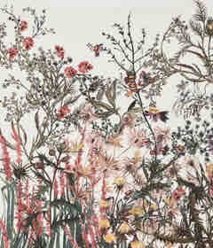 けいちゃん さま