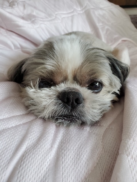 三年寝太郎 さま