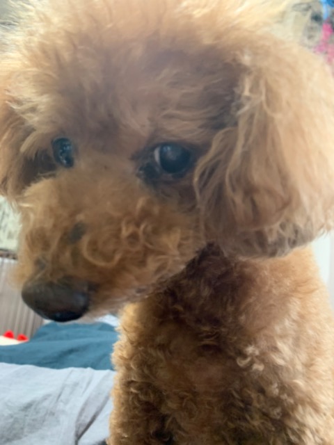 まりさん☺︎ さま