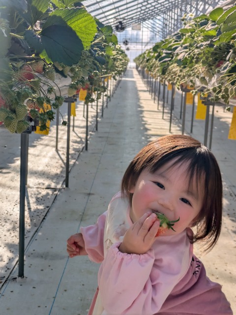 ジャリボーイ さま