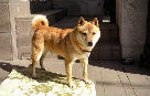 みちく さま