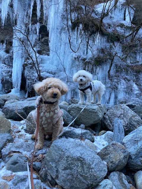 バディ&ジョイ さま