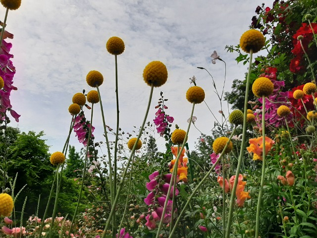 むんちゃん さま