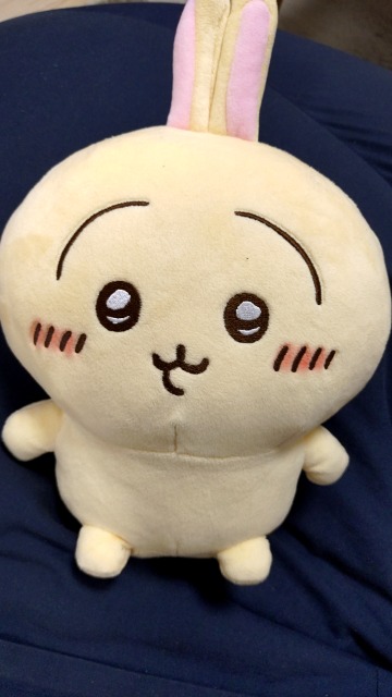 岩井さやか さま