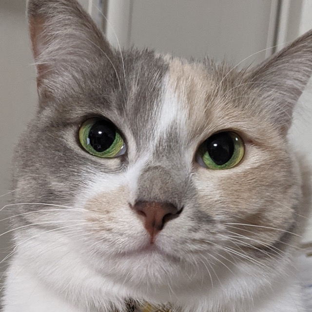 たまさぶろう さま