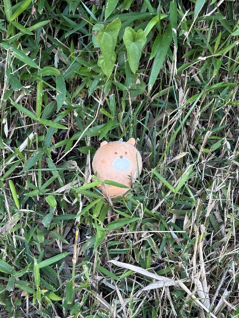 きむきむきむ さま