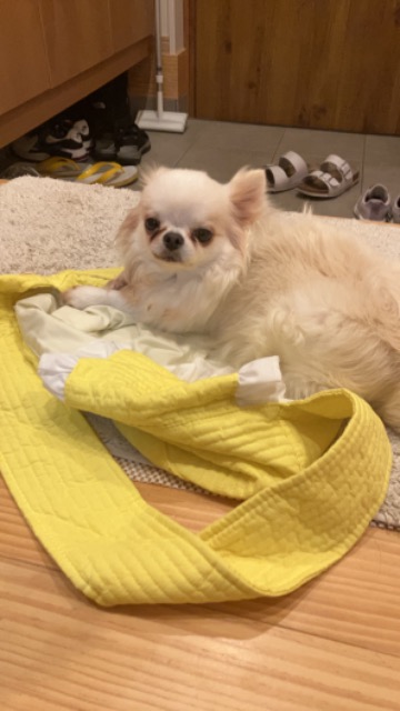 ちょぴ王子 さま