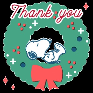 りんぱんちっぷ さま