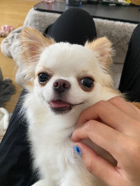 マウンテンちゃん さま