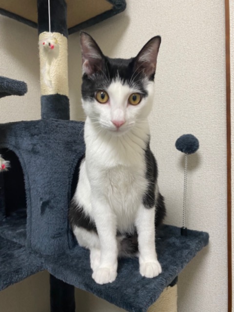 太田　浩司 さま