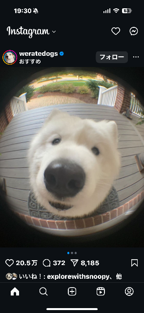 ぢょんさん さま