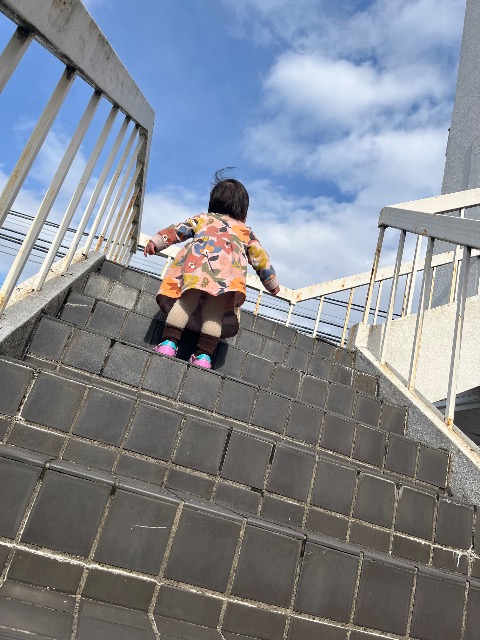 ぴこまま さま