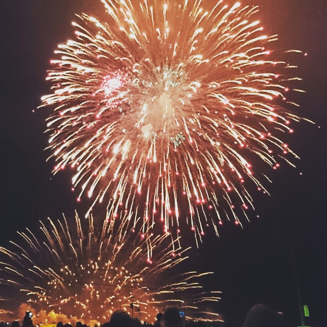 シュリンプ68 さま