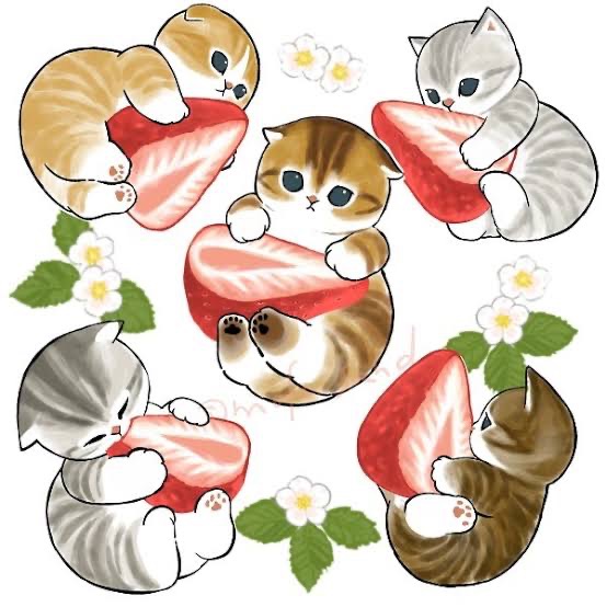 たな さま