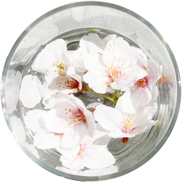 どんどんぶり さま