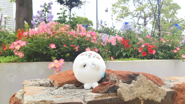 でんでけ丸 さま