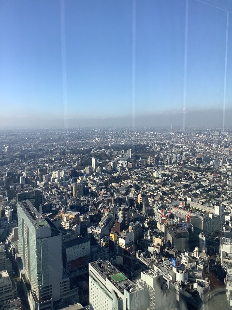 シンプリクラス支部長 さま