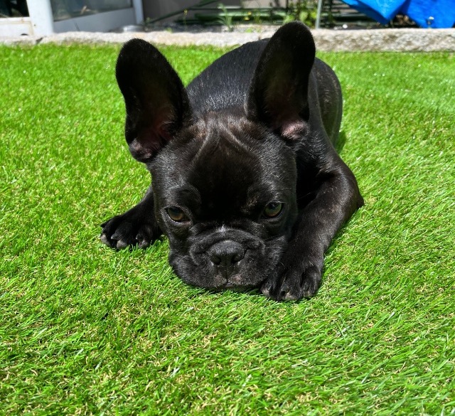 こうちゃん さま