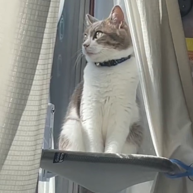 きょーすけ さま