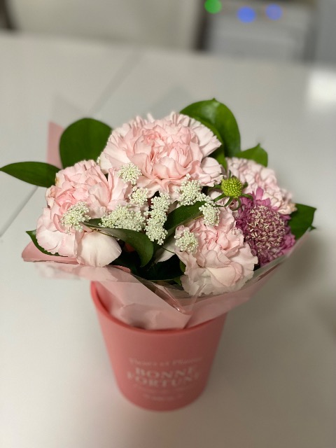 ゆうこりん さま