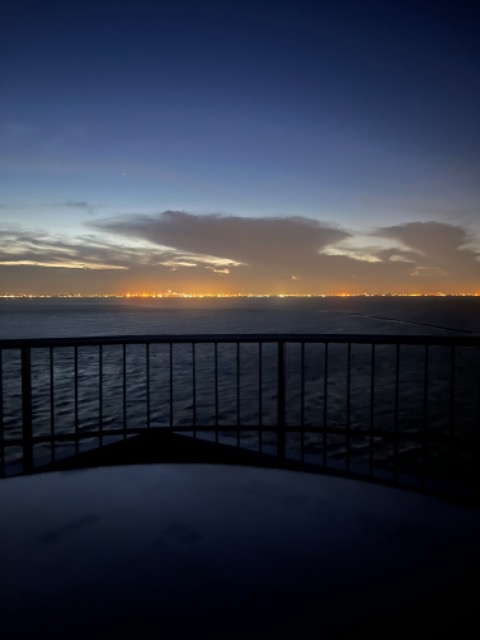 あひる隊長 さま