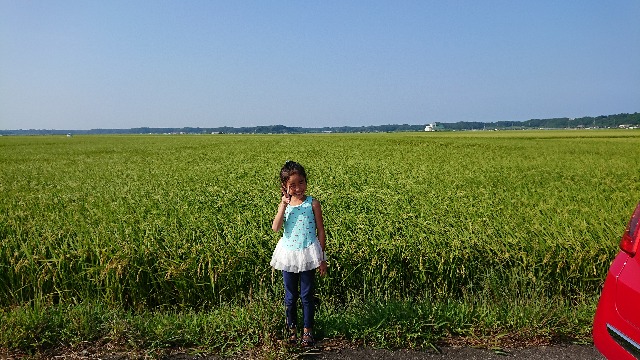 あきだよ。 さま