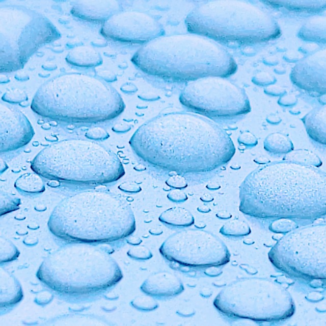 たれなまず さま