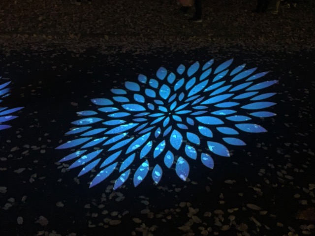 だっちゃん さま