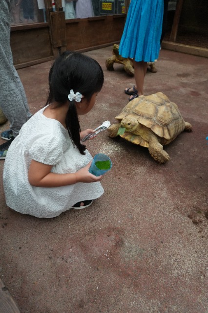 キラキラ星 さま