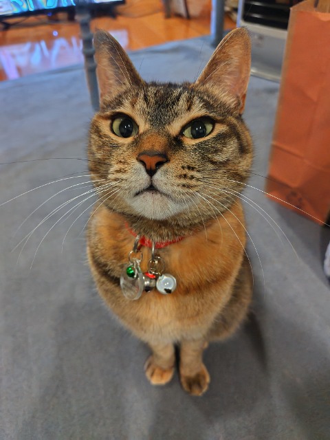 にゃんたろう さま